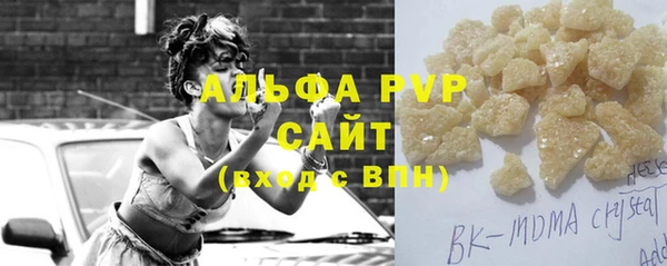 спиды Бородино