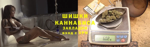 спиды Бородино