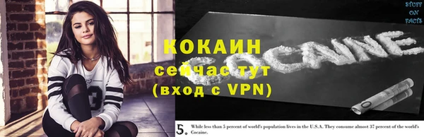спиды Бородино