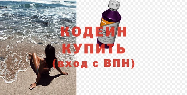 спиды Бородино