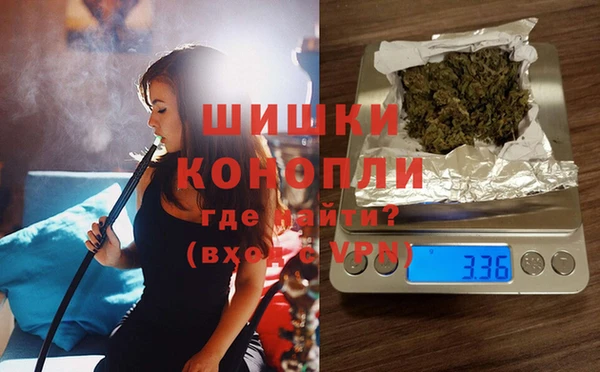 стафф Бронницы