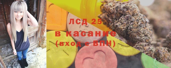 спиды Бородино