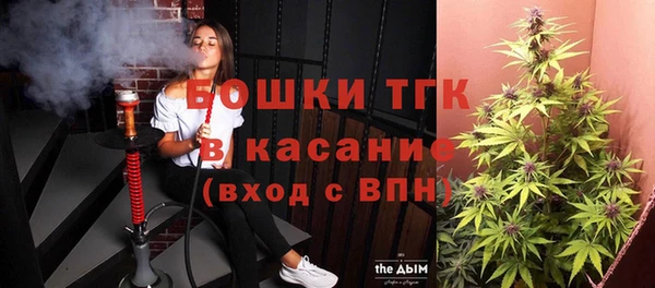 спиды Бородино