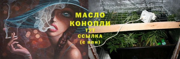 спиды Бородино