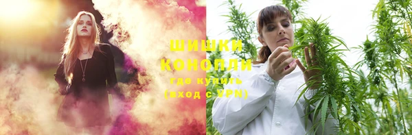 стафф Бронницы
